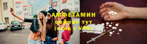 шишки Беломорск