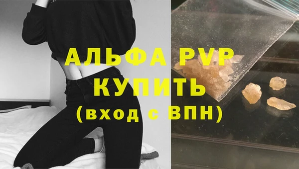 шишки Беломорск