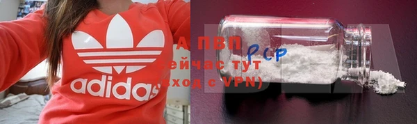 шишки Беломорск