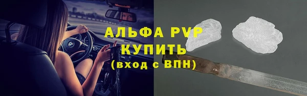 шишки Беломорск