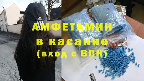 шишки Беломорск