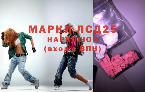 шишки Беломорск