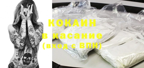шишки Беломорск