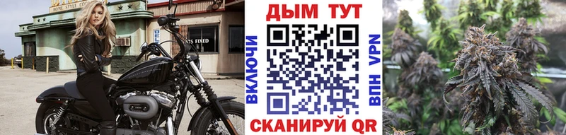 дарнет шоп  OMG зеркало  Марихуана сатива  Красавино 
